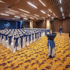 Thảm trải sàn hội nghị cao cấp SA 257