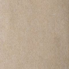 Thảm Nỉ Sự Kiện Màu Kem Nhạt P 702