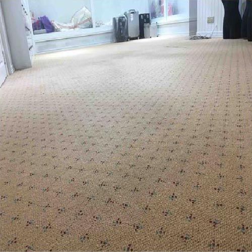 Thảm Sàn Màu Kem Florence 10 (FL 10)