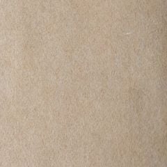 Thảm Trải Sàn Dạng Nỉ Trải Sự Kiện Plain 250