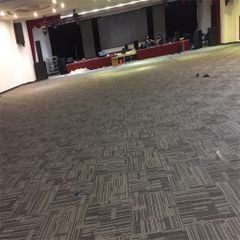 Thảm Trải Sàn Cao Cấp VINUS 05 Xám