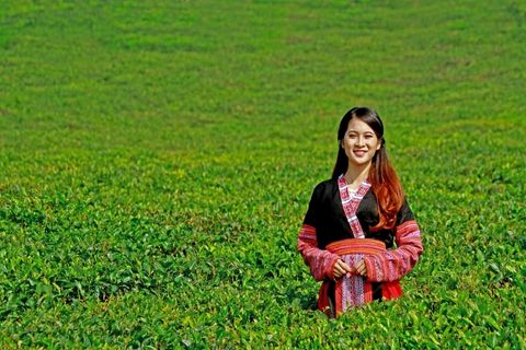 TOP TOUR DU LỊCH MỘC CHÂU 2 NGÀY 1 ĐÊM TRỌN GÓI, GIÁ RẺ