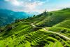 3 Days Sapa Tour From Hanoi - Best of Sapa Tours & Holiday Packages