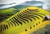 7D6N HANOI - HA LONG BAY - SA PA - NINH BINH