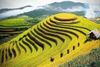 Best 5 Day 4 Night Hanoi Sapa Halong Bay Tour Package & Price