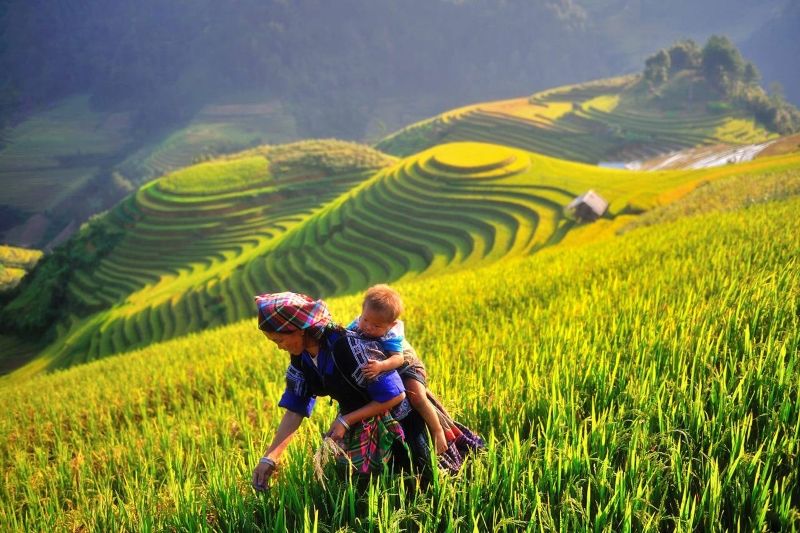 3 Days Luxury & Private Tour to Sapa from Hanoi / 2024-2025