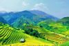14 DAY BEST OF VIETNAM TOUR FROM HANOI TO HO CHI MINH/ 2024-2025
