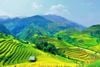 14 DAY BEST OF VIETNAM TOUR FROM HANOI TO HO CHI MINH/ 2024-2025