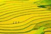7D6N HANOI - HA LONG BAY - SA PA - NINH BINH