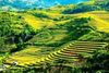 3 Days Amazing Sapa Tour - Hotel & Homestay With Ethnic Minority People