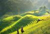 3 Days Amazing Sapa Tour - Hotel & Homestay With Ethnic Minority People