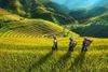 3 Days Amazing Sapa Tour - Hotel & Homestay With Ethnic Minority People