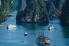 1 Day Halong Bay Cruise Tour from Hanoi