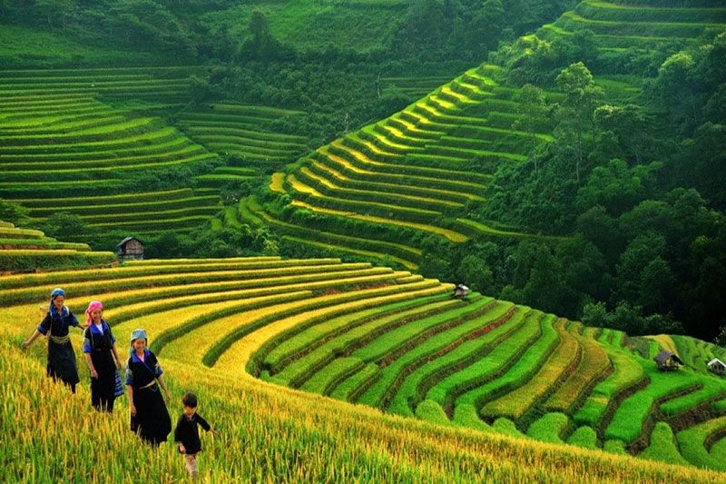 3 Days Best of Sapa Tour Package From Hanoi