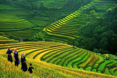 Tour Sapa 3 ngày 2 đêm – Fansipan – Bản Cát Cát