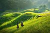 15 DAYS VIETNAM ADVENTURE TOUR WITH SAPA