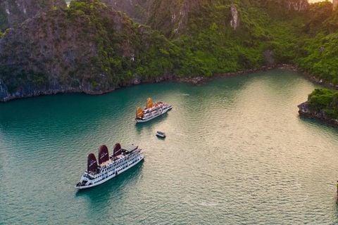 7 Day 6 Night Hanoi Mai Chau Ninh Binh & Halong Bay/ 2024-2025