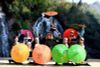 3 Days Sapa Tour From Hanoi - Best of Sapa Tours & Holiday Packages
