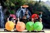 3 Day Tour of Sapa From Hanoi/ 2025-2026