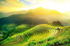 Tour Sapa 3 Ngày 2 Đêm - Khởi Hành Từ Hà Nội