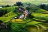 9 Days - Best of Northern Vietnam Tour 2024-2025