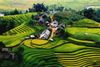 6 DAY 5 NIGHT HANOI, SAPA TREK, NINH BINH & HALONG BAY TOUR/ 2025-2026