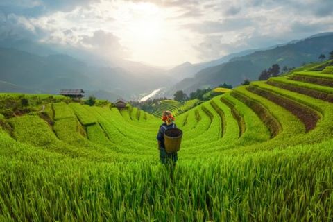 Best Of Northern Vietnam Itinerary & Price - 9 Days