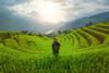 Best Of Northern Vietnam Itinerary & Price - 9 Days