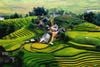 6 Day 5 Night Hanoi Sapa & Halong Bay with Overnight Cruise/ 2025-2026