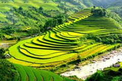 THE BEST Sapa Multi Day Tours