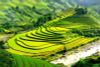 7 Days North Vietnam Itinerary: Hanoi, Sapa & Halong Bay