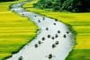9 DAYS BEST OF NORTH VIETNAM TOUR: HANOI, SAPA, NINH BINH & HALONG BAY