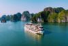 BEST HANOI TOUR PACKAGE: NINH BINH, SAPA & HALONG BAY - 7 DAYS / 2025-2026