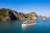 2 Days 1 Night Halong Bay with Overnight Cruise/ 2024-2025