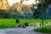 6 Days - Best of Northern Vietnam Tour 2023-2024