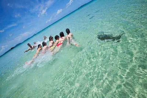 TOUR DU LỊCH CÔ TÔ 3 NGÀY 2 ĐÊM - HANOI PREMIUM TRAVEL