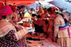 8 Days Best of Northern Vietnam: Hanoi - Sapa - Halong Bay