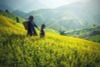 5 DAY 4 NIGHT HANOI SAPA HALONG BAY ITINERARY & PRICE/2025-2026