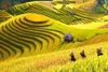 3 Days Amazing Sapa Tour - Hotel & Homestay With Ethnic Minority People