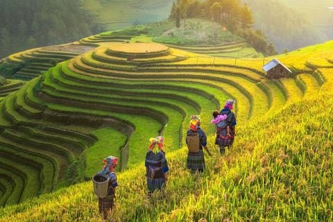 BEST VIETNAM TOURS & VACATIONS 2025/2026