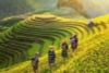 7-DAY BEST OF NORTH VIETNAM: HANOI - SAPA - HALONG BAY – NINH BINH