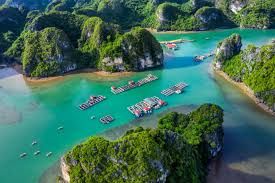 Top Tour Hạ Long - Team Building - Gala Dinner/ 2022-2023