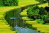 10 BEST VIETNAM FAMILY TOUR & HOLIDAY PACKAGES/ 2025-2026