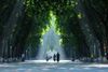 Top Hanoi Half-day Tours with Professional Guides