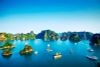 8 DAYS BEST OF VIETNAM: HANOI, SAPA, HALONG BAY TOUR