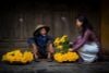 11 Days Vietnam Family Holiday/ 2024-2025