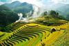 6 Days Best of Hanoi - Sapa - Halong Bay Tour Package