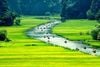 6 DAY 5 NIGHT HANOI, SAPA TREK, NINH BINH & HALONG BAY TOUR/ 2025-2026