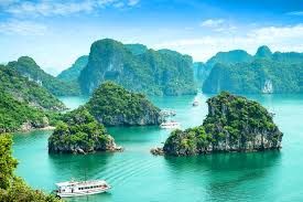 Luxury Day Cruise Halong Bay with Full Activities