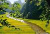 HANOI ITINERARY 4 DAYS NINH BINH - HALONG BAY TOUR/ 2025-2026
